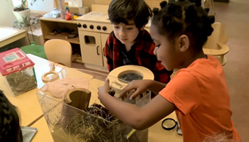 کاوشگری در مورد حشرات در کلاس پیش دبستانی رافاعلوم ـ 