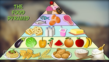 هرم غذایی رافاعلوم ـ 