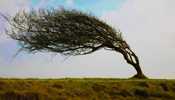 قدرت باد رافاعلوم ـ 